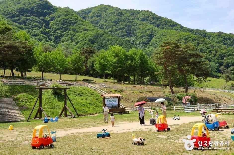 해피초원목장 사진 4