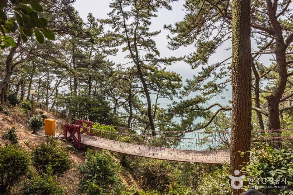 부산 암남공원 사진 6