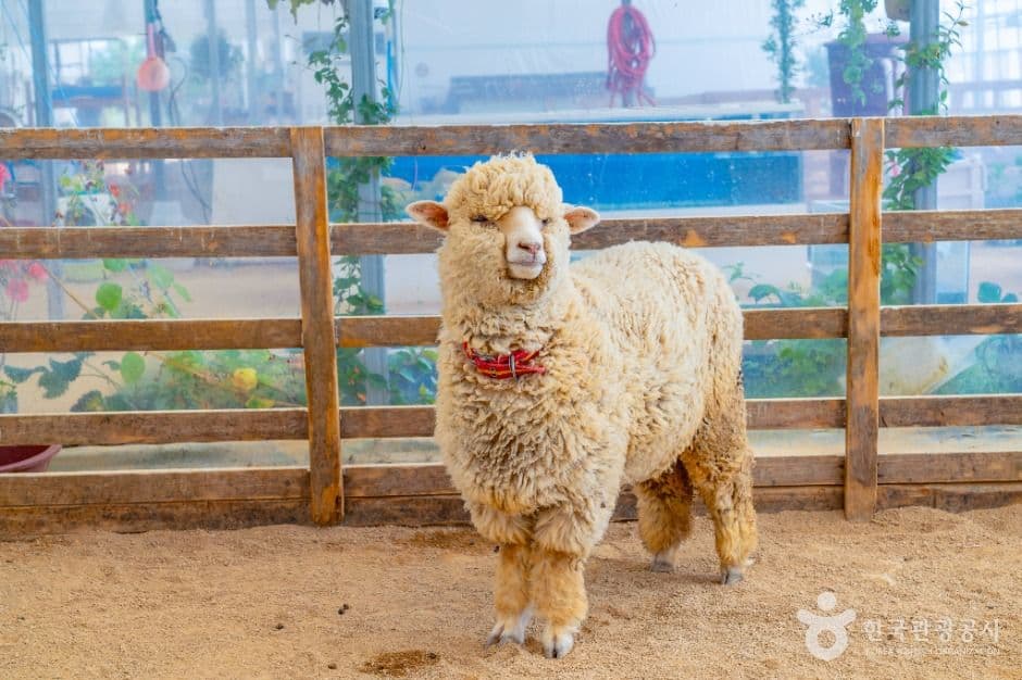 나눔농장(부천) 사진 6