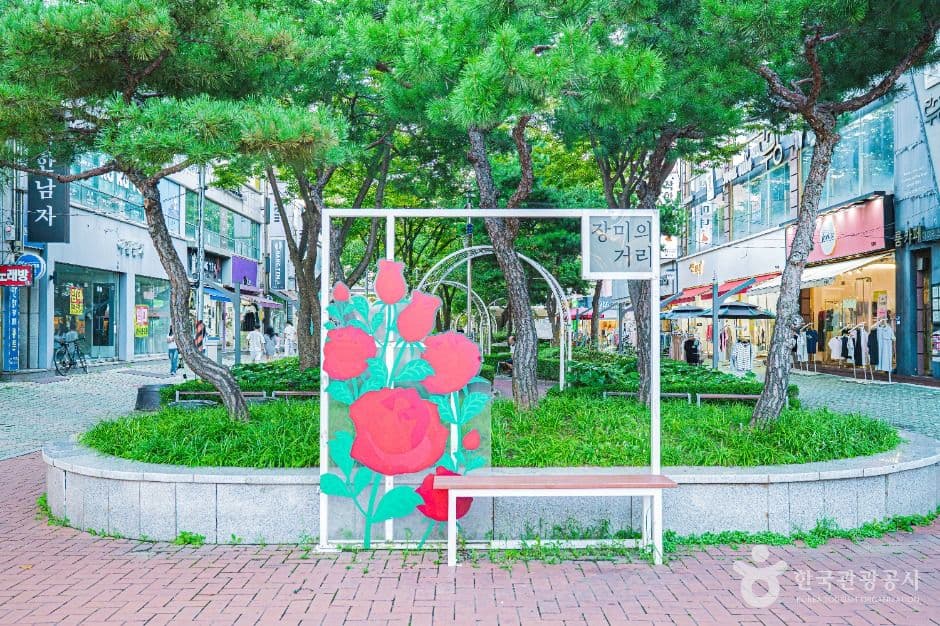 장미의거리 사진 3