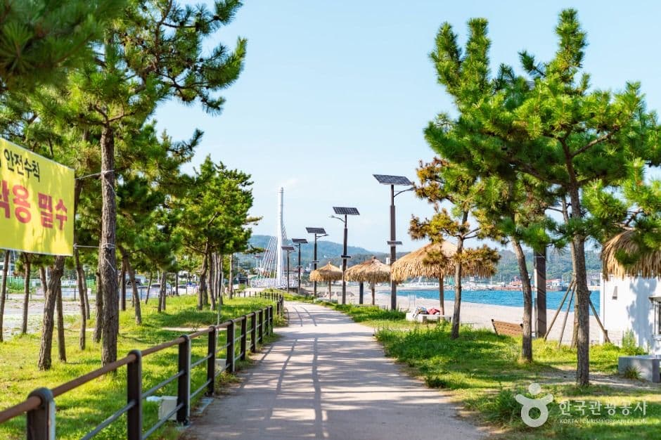 나정고운모래해변 사진 1
