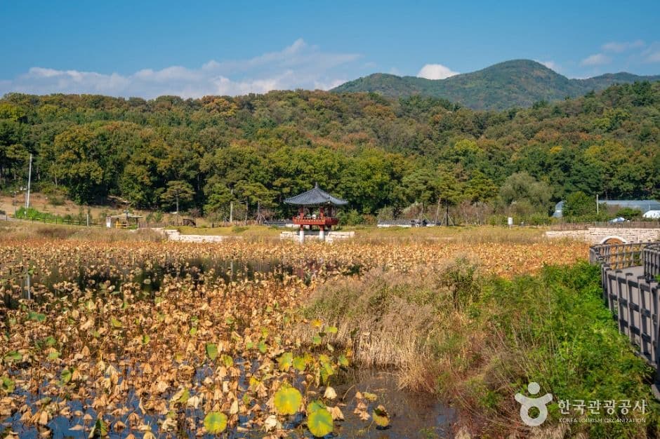 나불지 생태공원