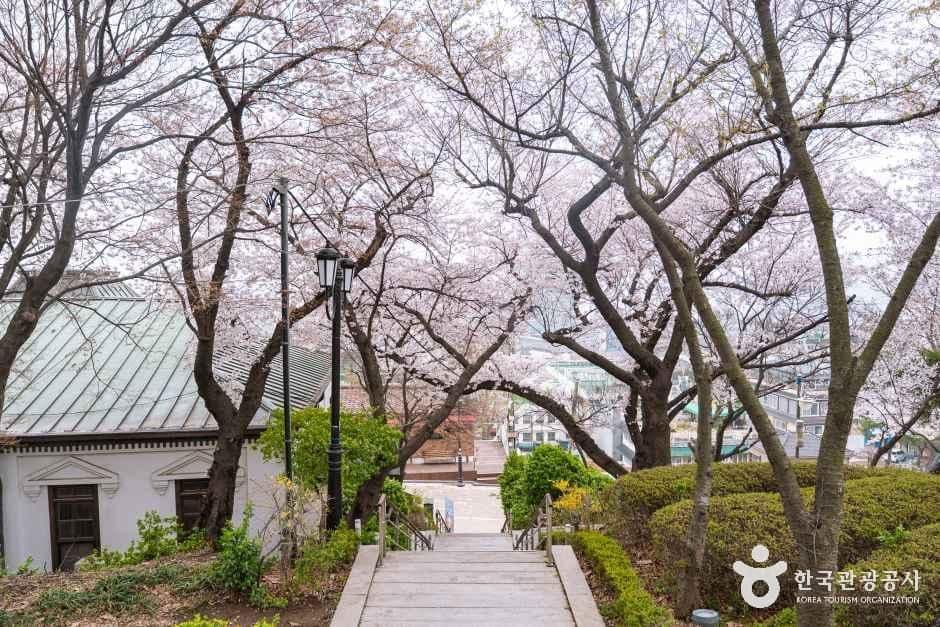자유공원(인천) 사진 2