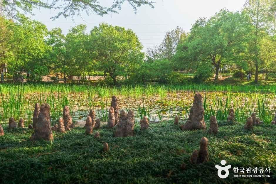 한국도로공사 전주수목원 사진 7