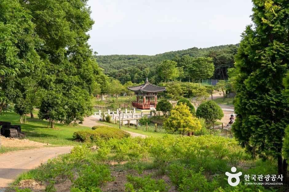 홍길동 테마파크