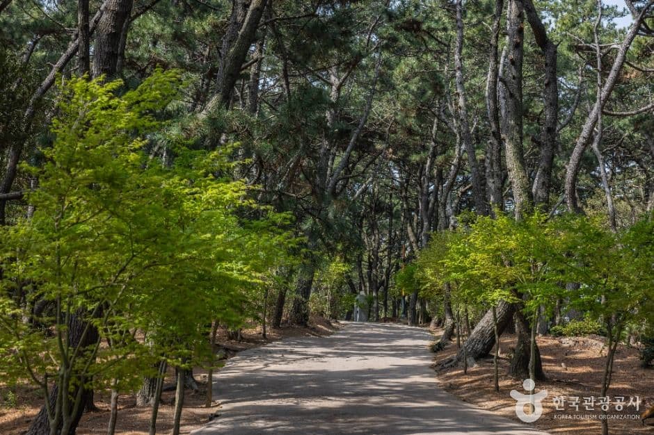 부산 암남공원 사진 7