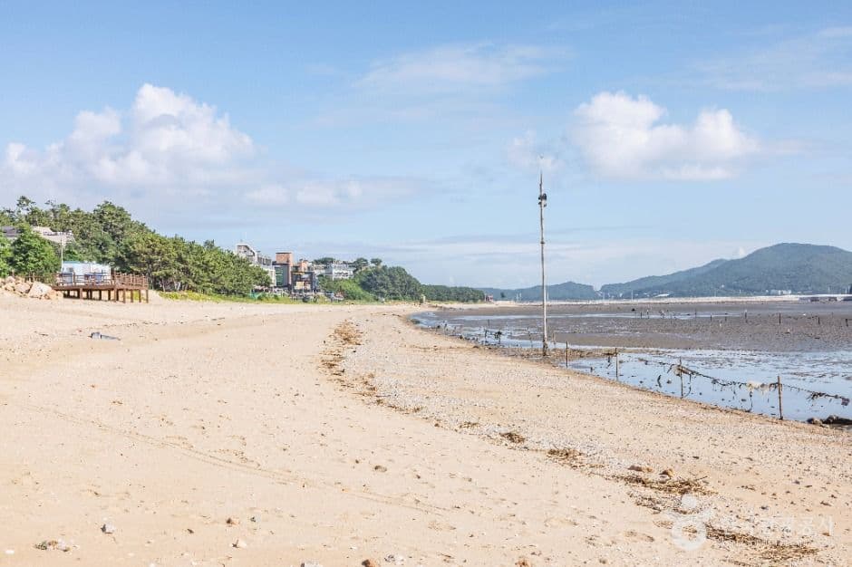영종도 마시안해변 사진 5
