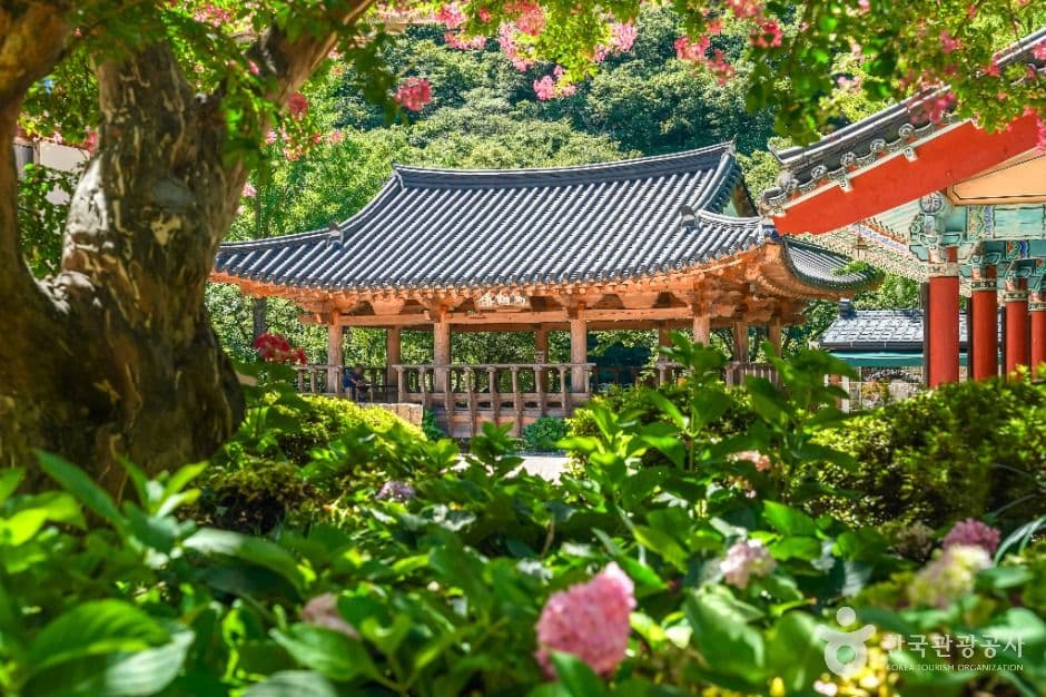 오어사(포항) 사진 3