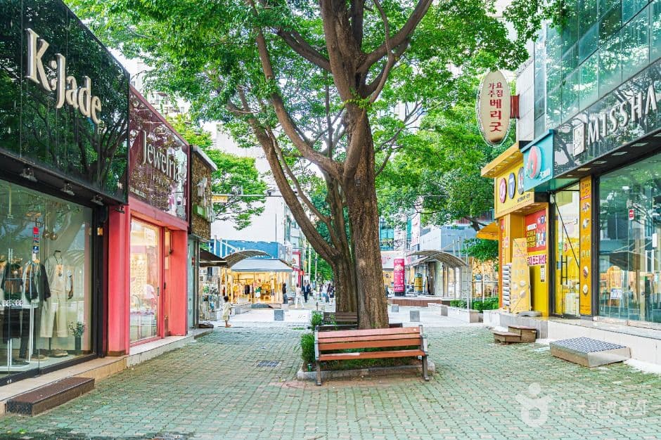 장미의거리 사진 4