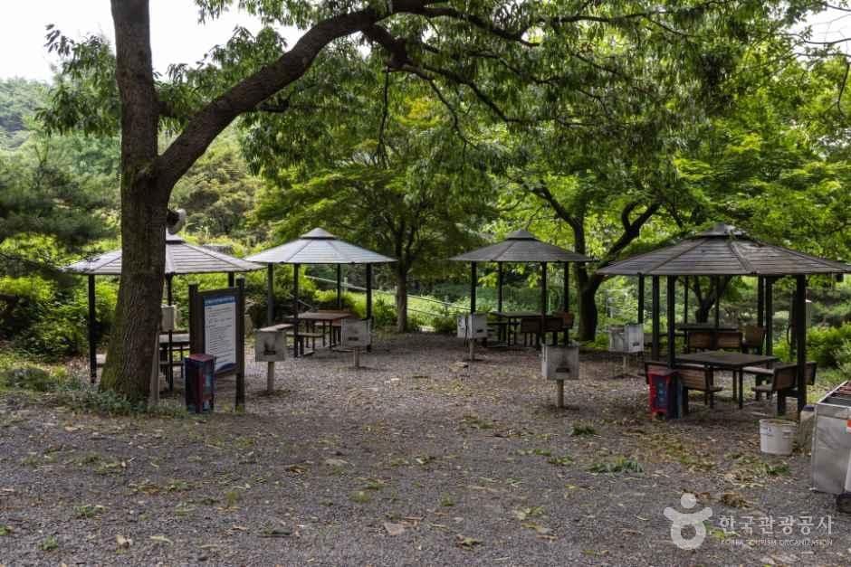 국립오서산자연휴양림 사진 4