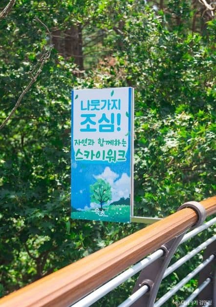 설악향기로 사진 1