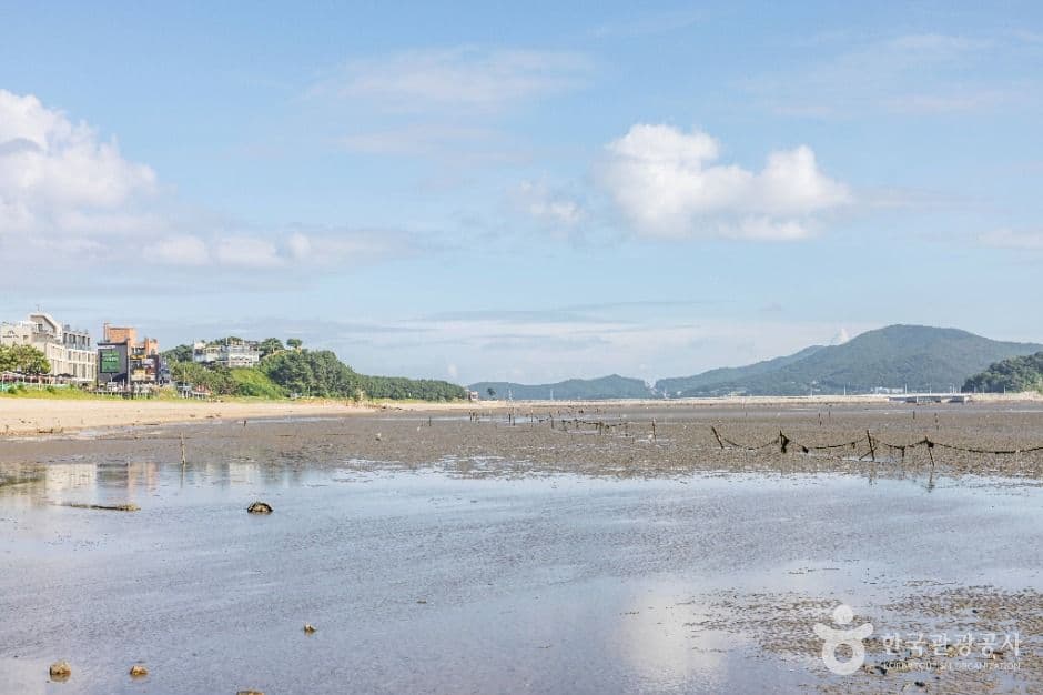 영종도 마시안해변 사진 6