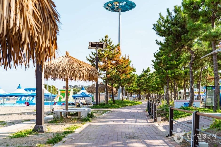 나정고운모래해변 사진 2