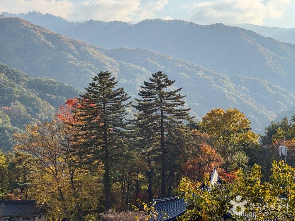 벽송사(함양) 사진 3