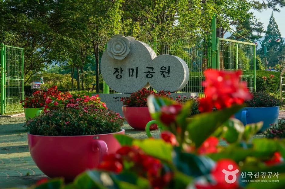 장미공원(창원) 사진 1