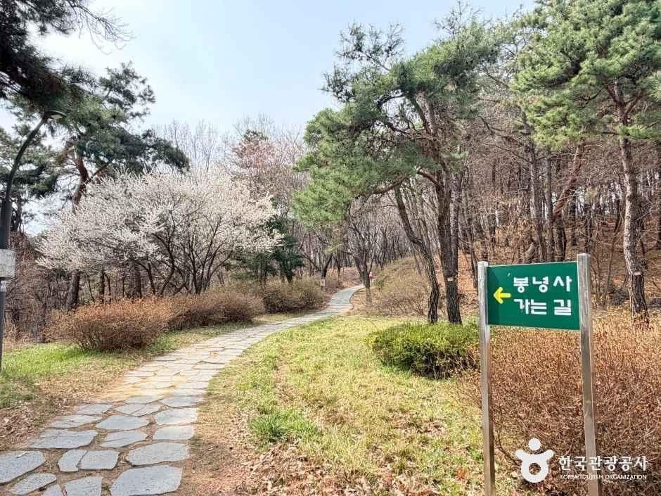 봉녕사(수원) 사진 1