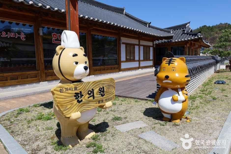 영천한의마을 사진 2
