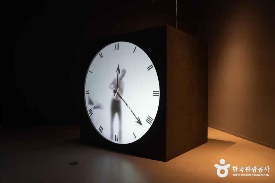 포도뮤지엄 사진 7