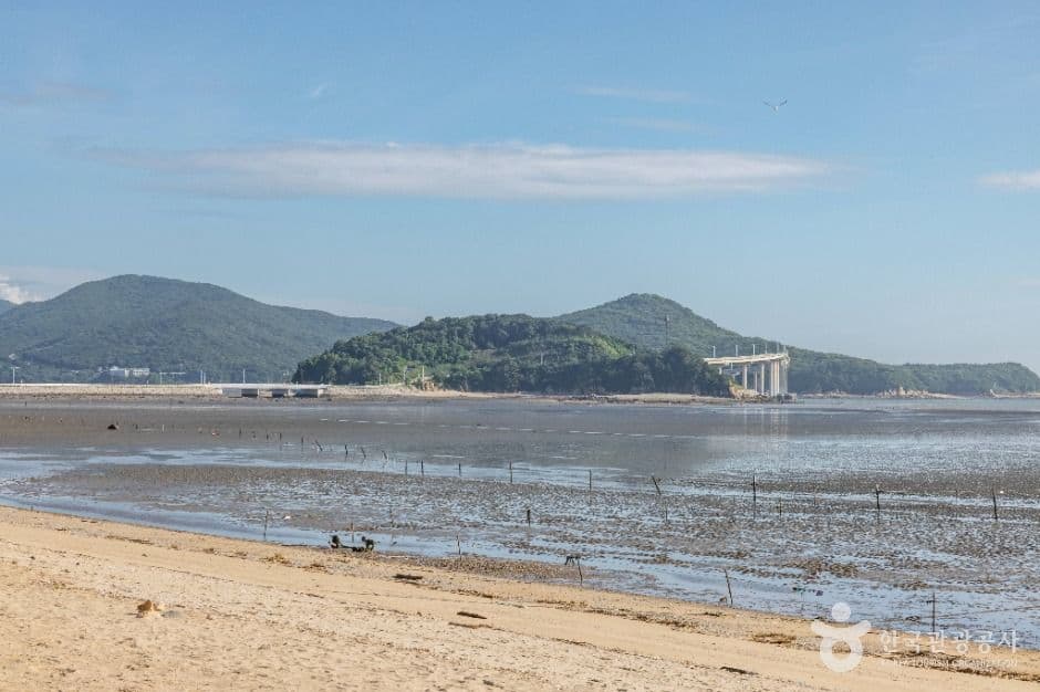영종도 마시안해변 사진 7