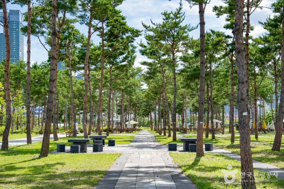 세종중앙공원 사진 3