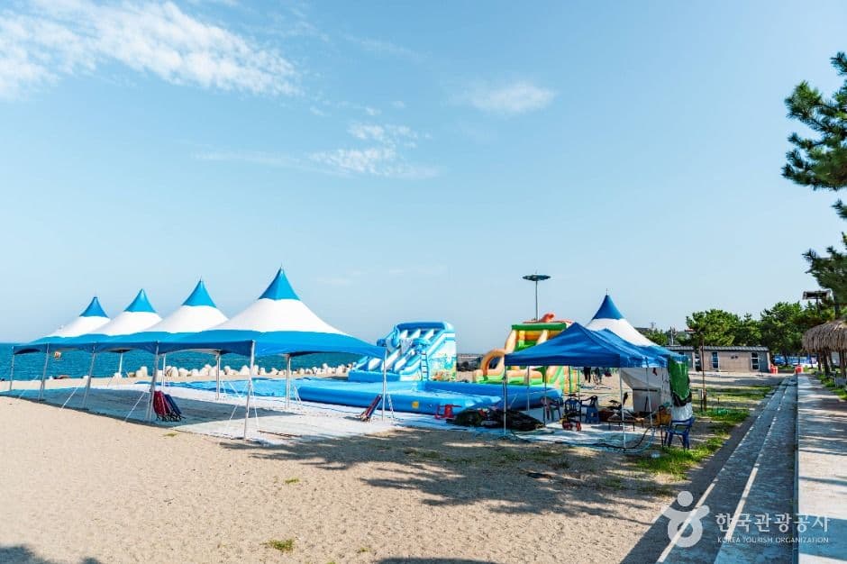 나정고운모래해변 사진 3