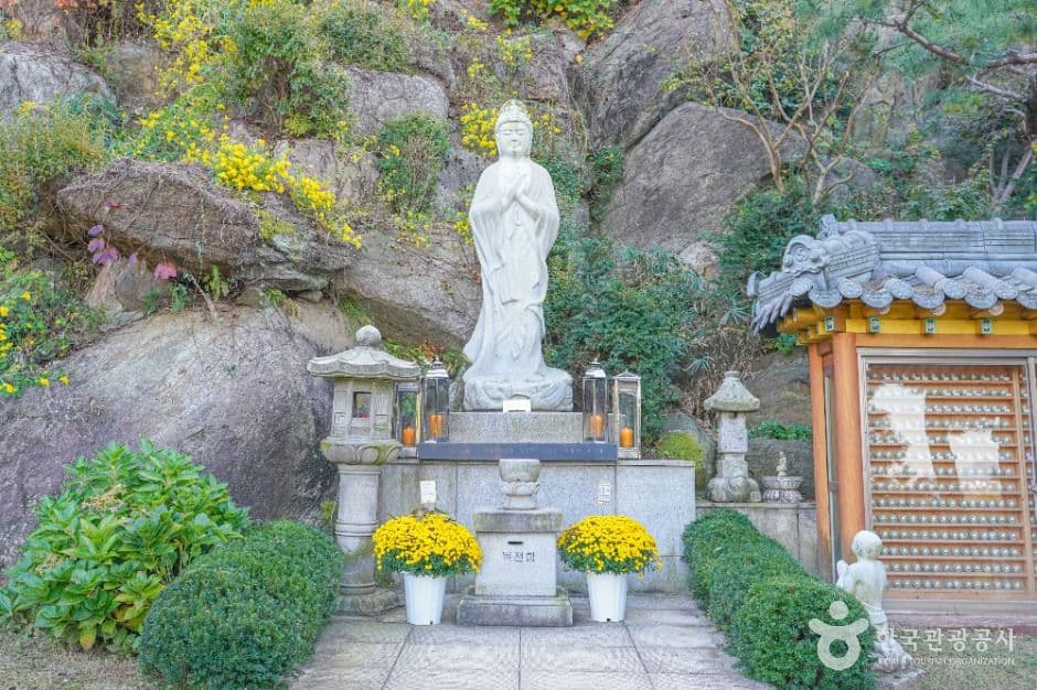 달마사(서울) 사진 7