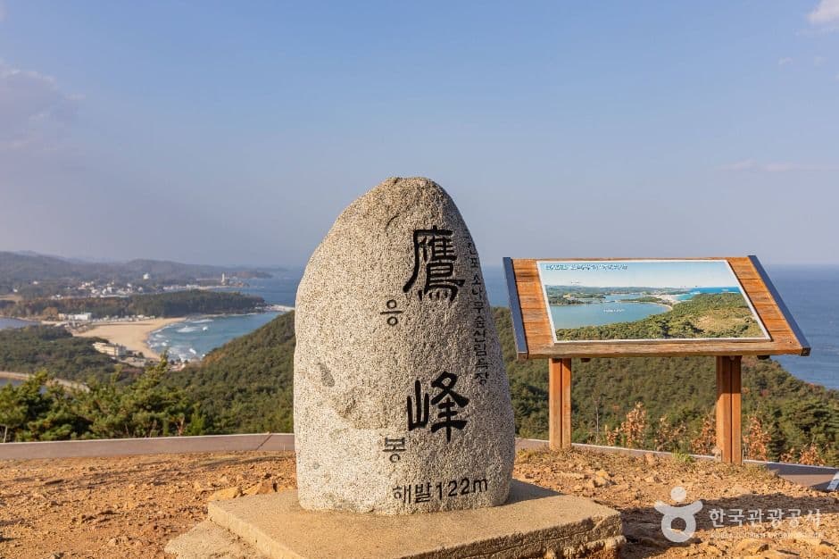 응봉 사진 1