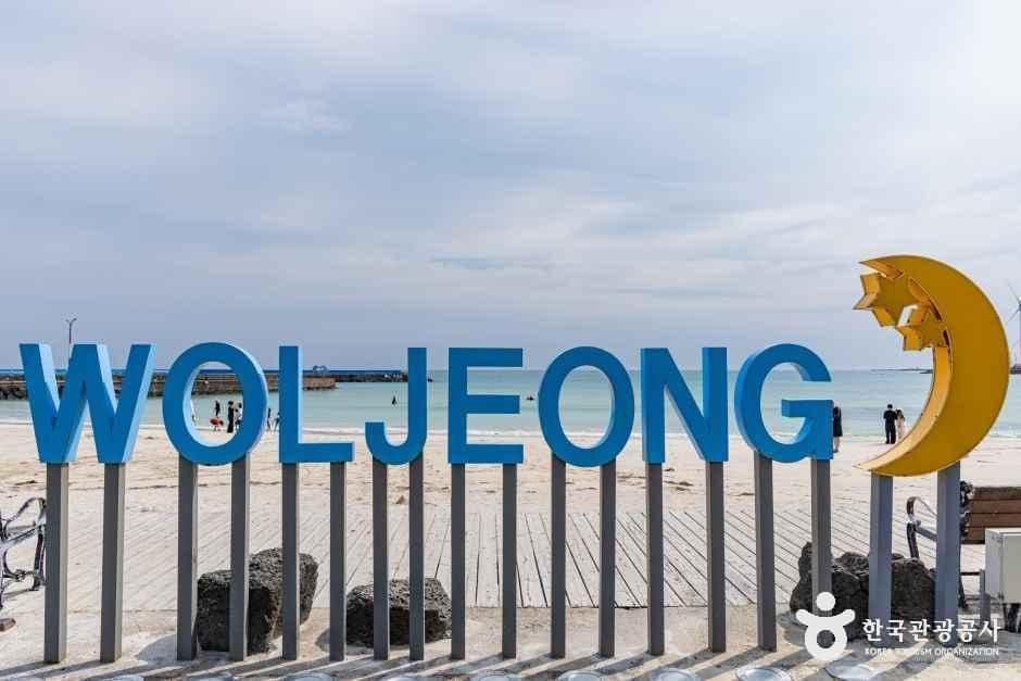 월정리해변(월정리해수욕장) 사진 4
