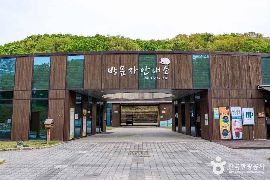 초막골생태공원 사진 3