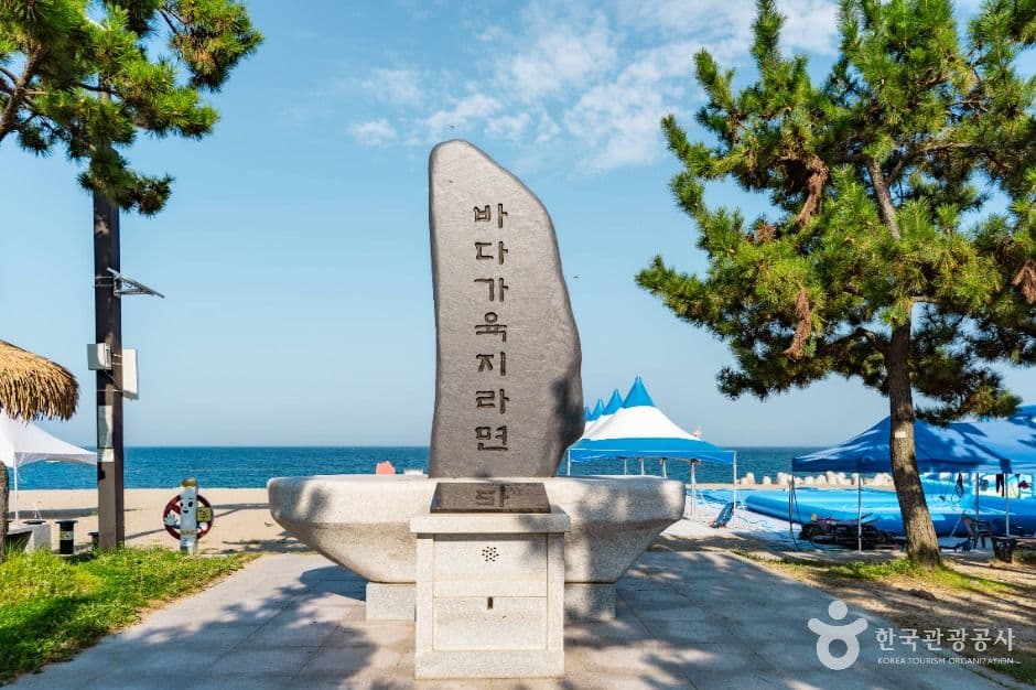 나정고운모래해변 사진 4