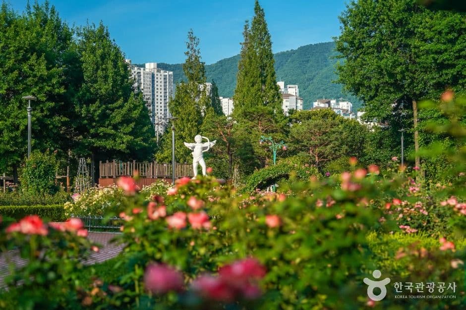 장미공원(창원) 사진 2