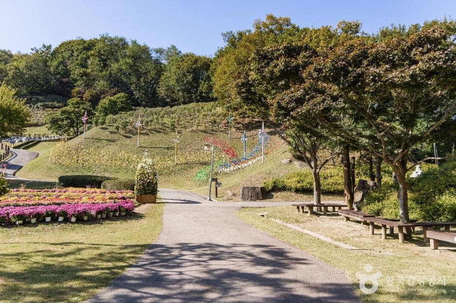 용인농촌테마파크 사진 2