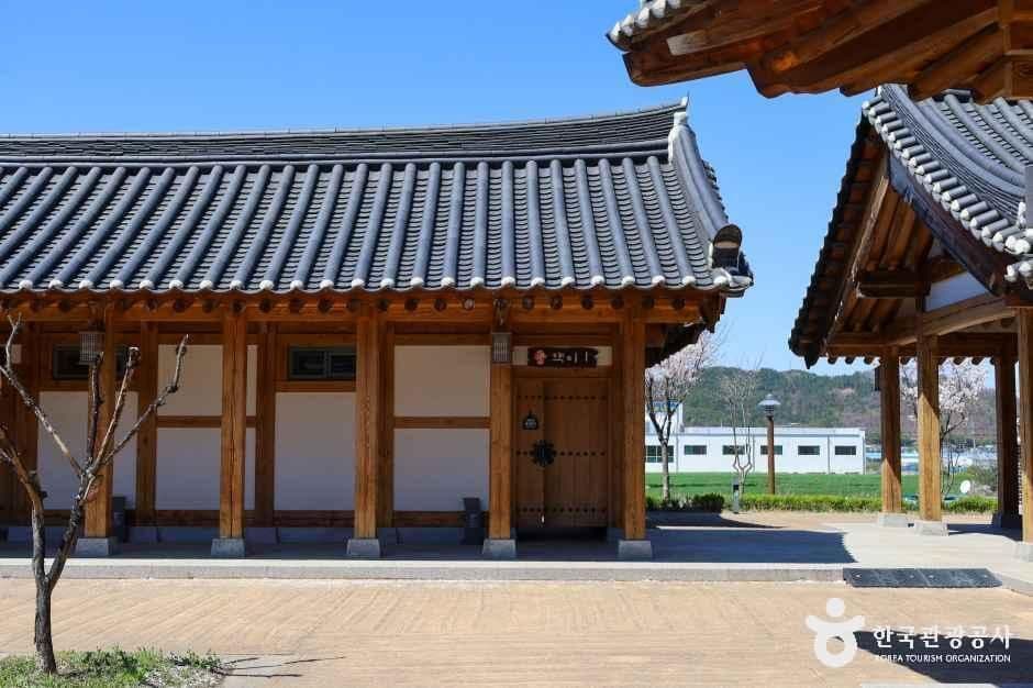 영천한의마을 사진 4