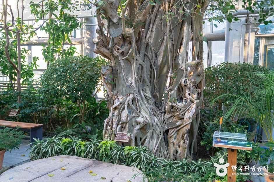 경주 동궁원 사진 4