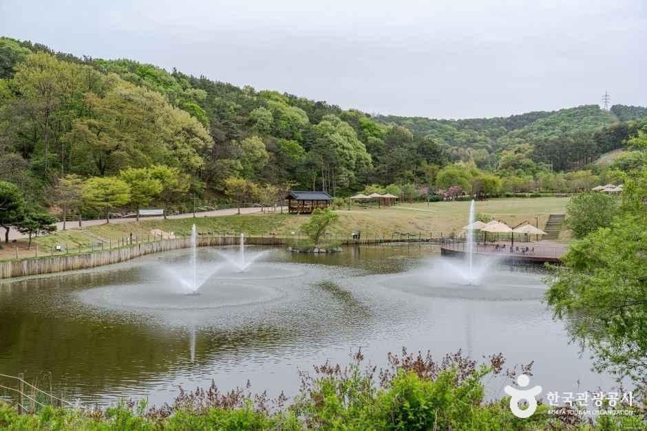 초막골생태공원 사진 4