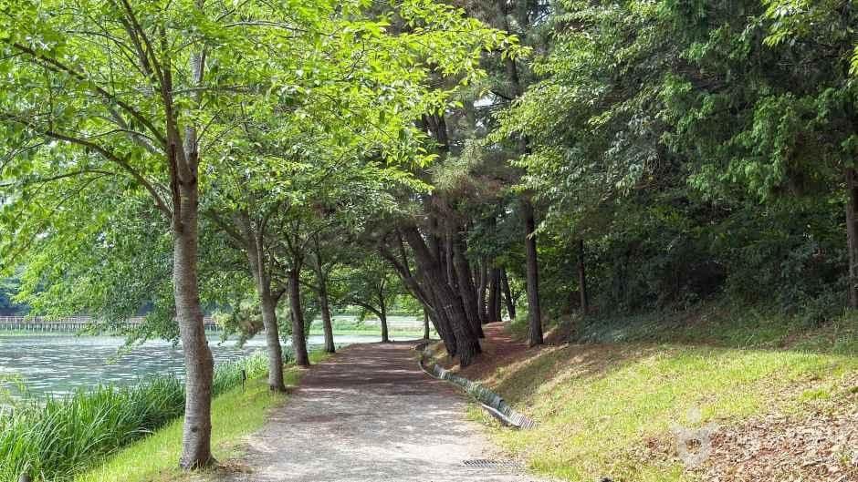 은파호수공원 사진 2