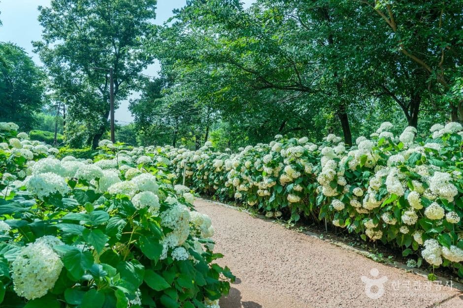 내리문화공원 사진 5