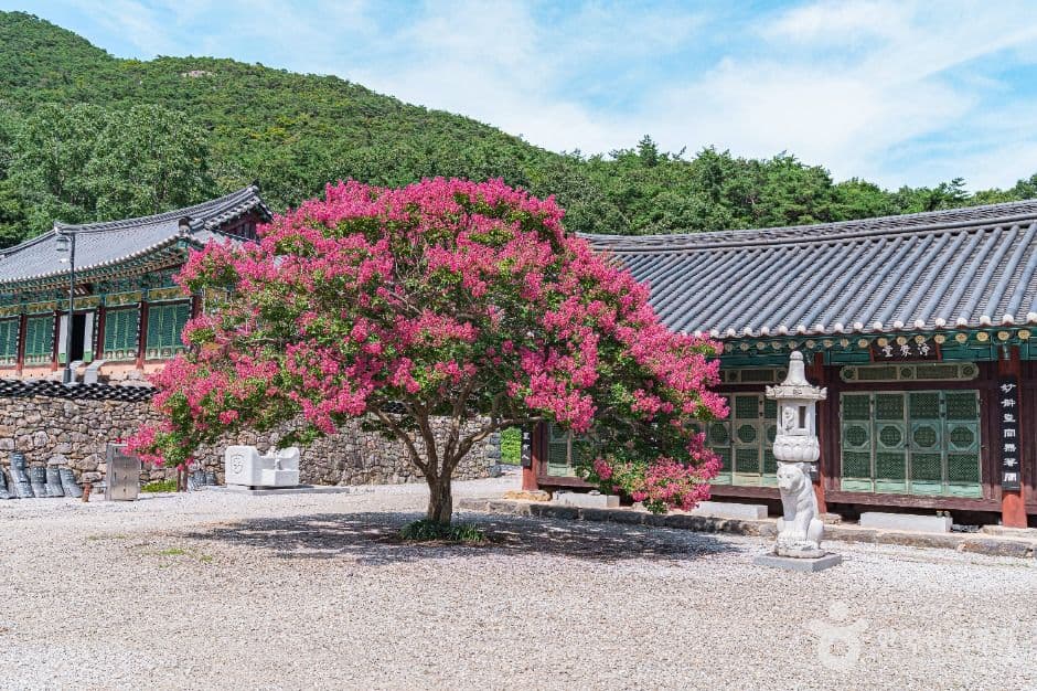 개암사 사진 3