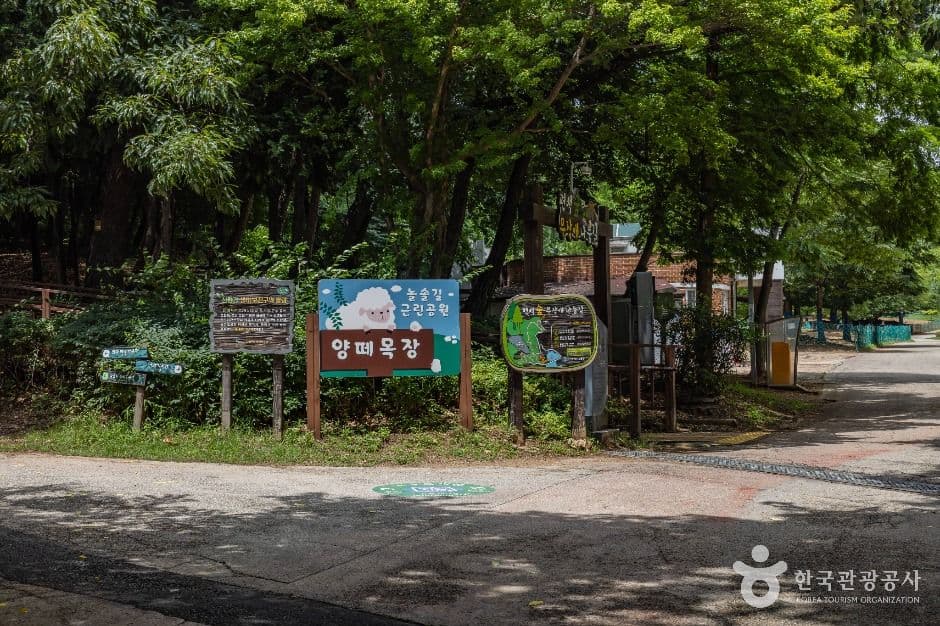 늘솔길공원양떼목장 사진 6