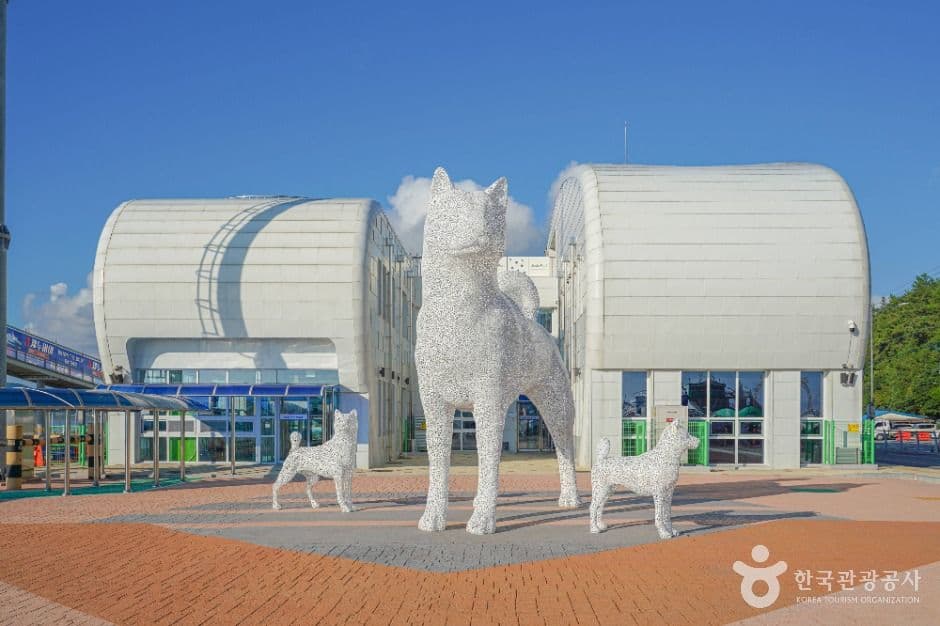 진도항 사진 4