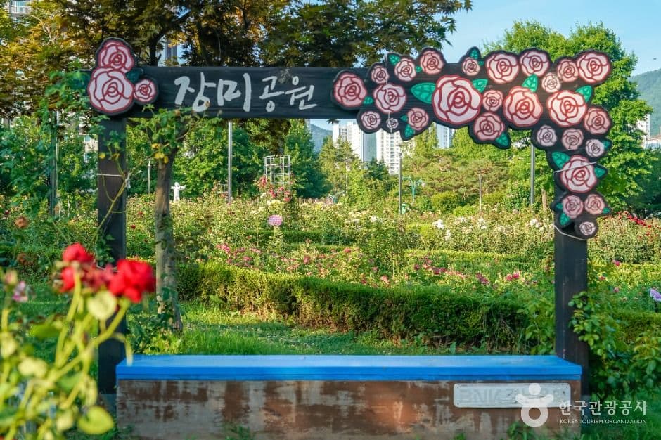 장미공원(창원) 사진 3