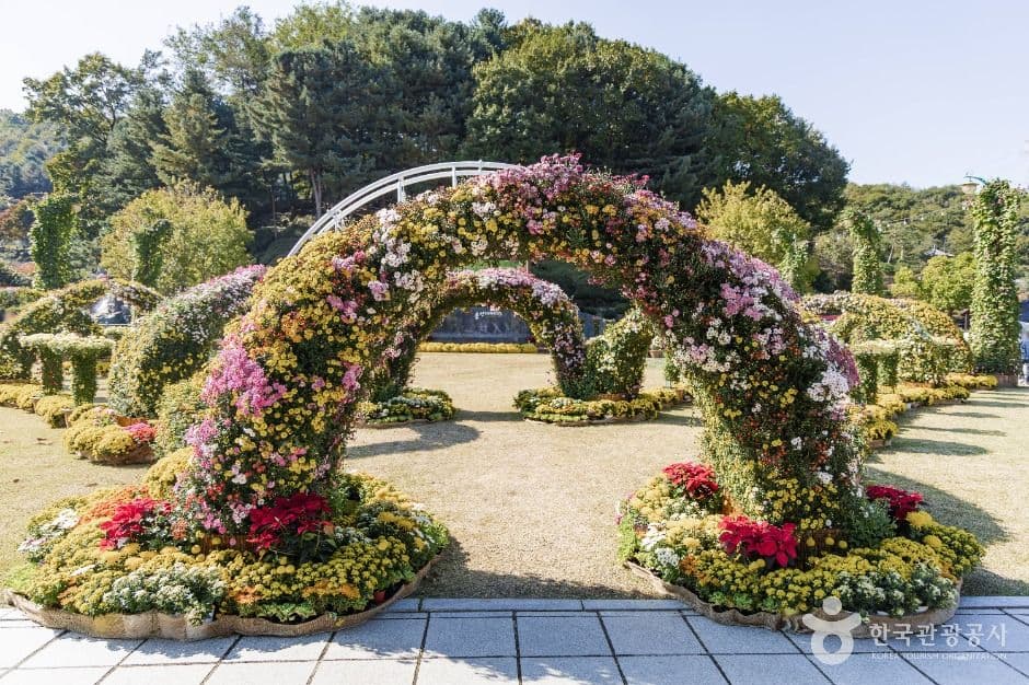 용인농촌테마파크 사진 3