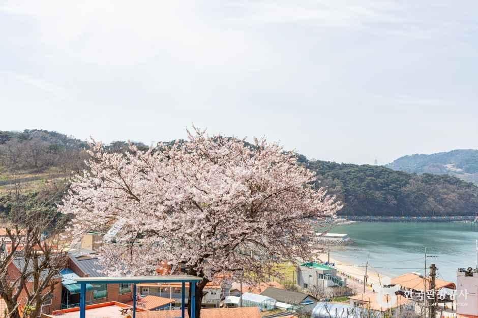 대이작도 사진 6