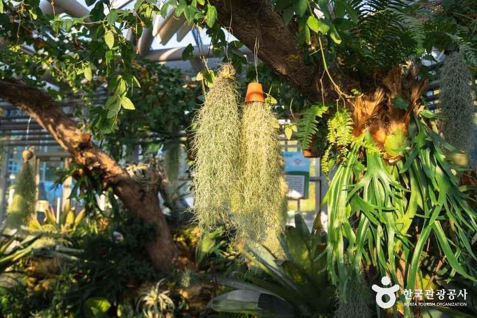 경주 동궁원 사진 5