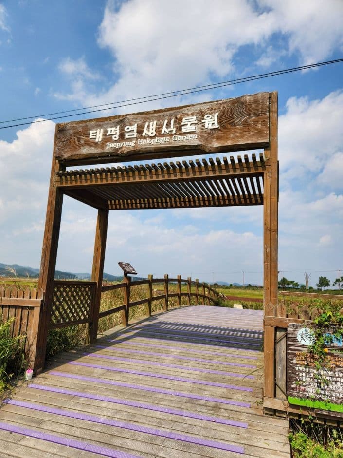 태평염생식물원 사진 6