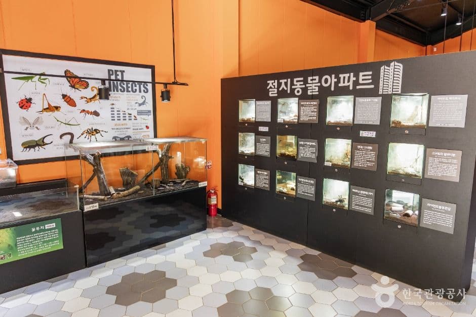용인농촌테마파크 사진 4