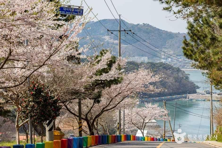 대이작도 사진 7