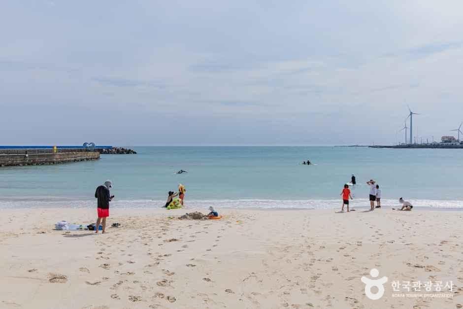 월정리해변(월정리해수욕장) 사진 6