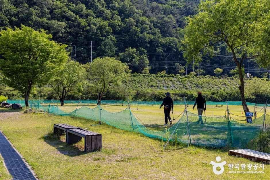 단양생태체육공원 사진 7