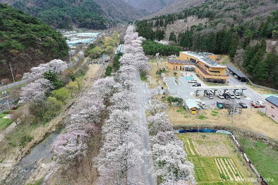 내장산국립공원